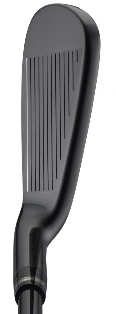 Honma Beres Black Mens, železa