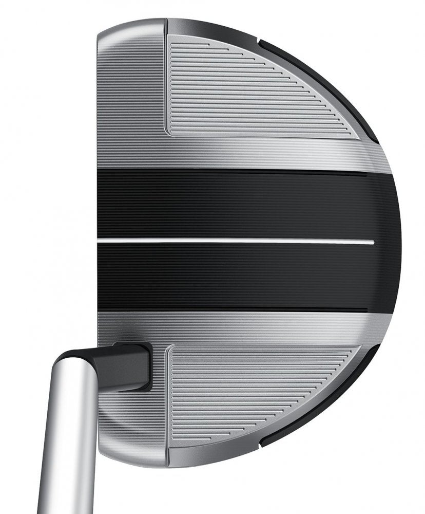 TaylorMade Spider GT Rollback, Silver, Black, Short Slant