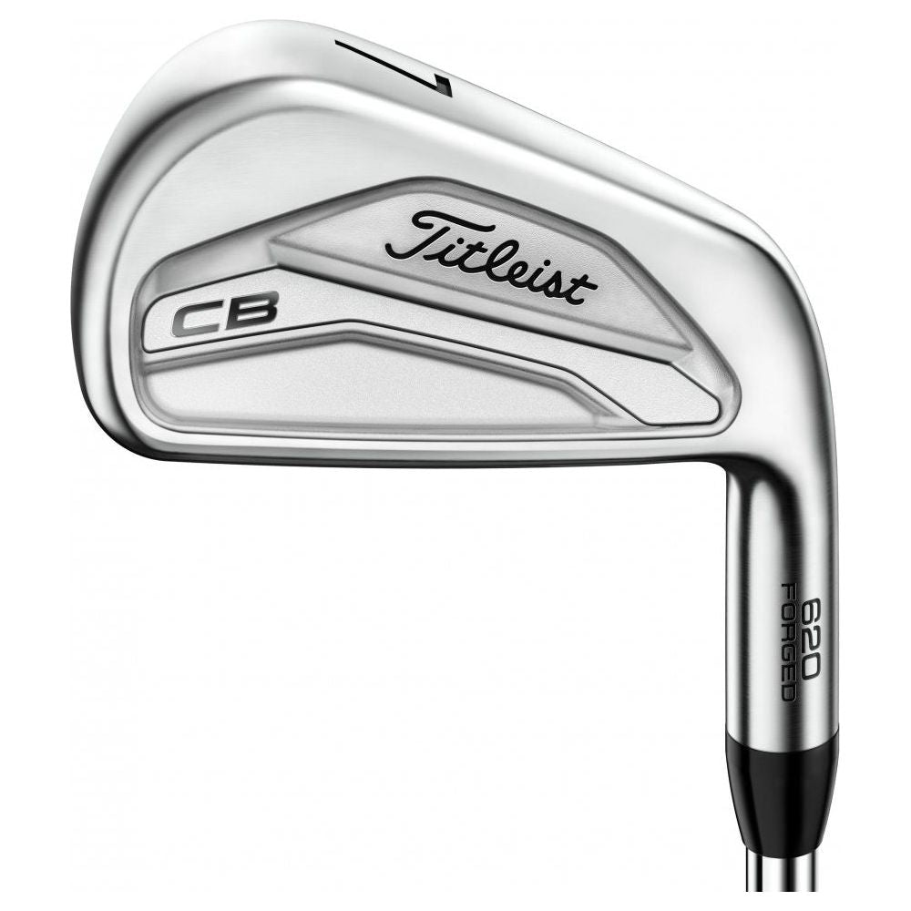 Titleist 620 CB, ocelové shafty, pro muže