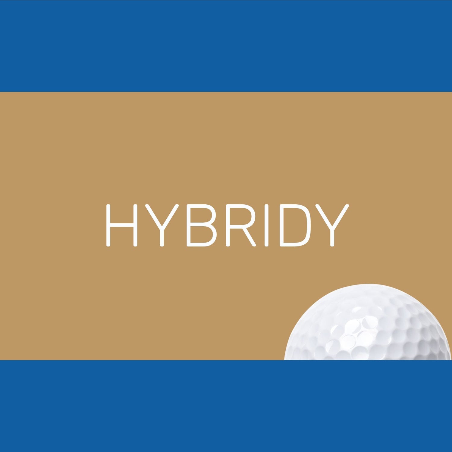 Hybridy