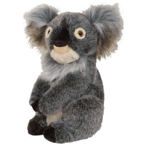 Daphnee Koala