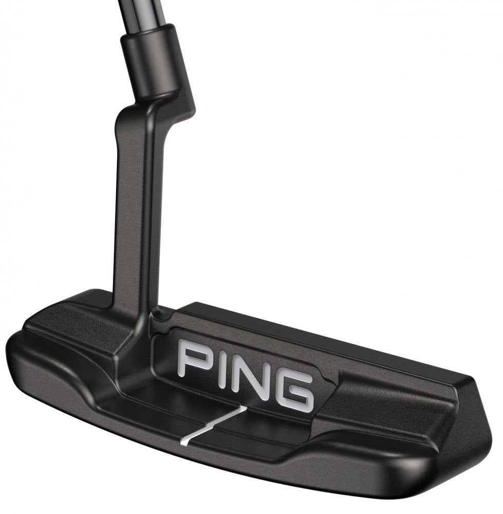 Ping 2021 Anser Ping