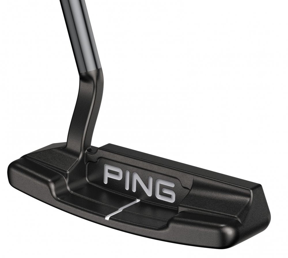 Ping 2021 Anser 4