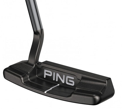 Ping 2021 Anser 4