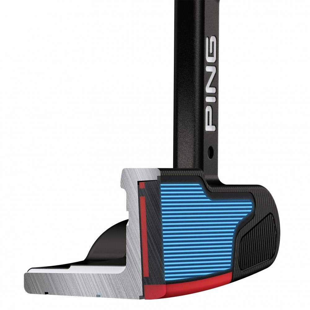 Ping 2021 Anser Ping