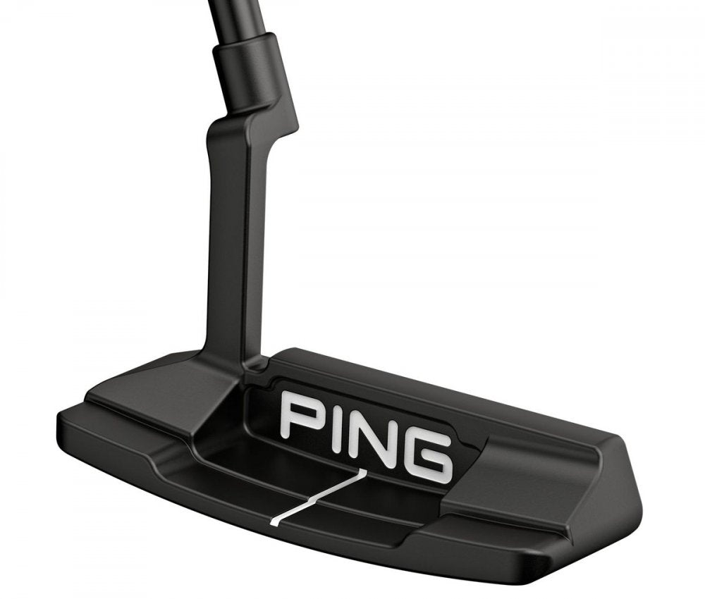 Ping 2023 Anser 2D
