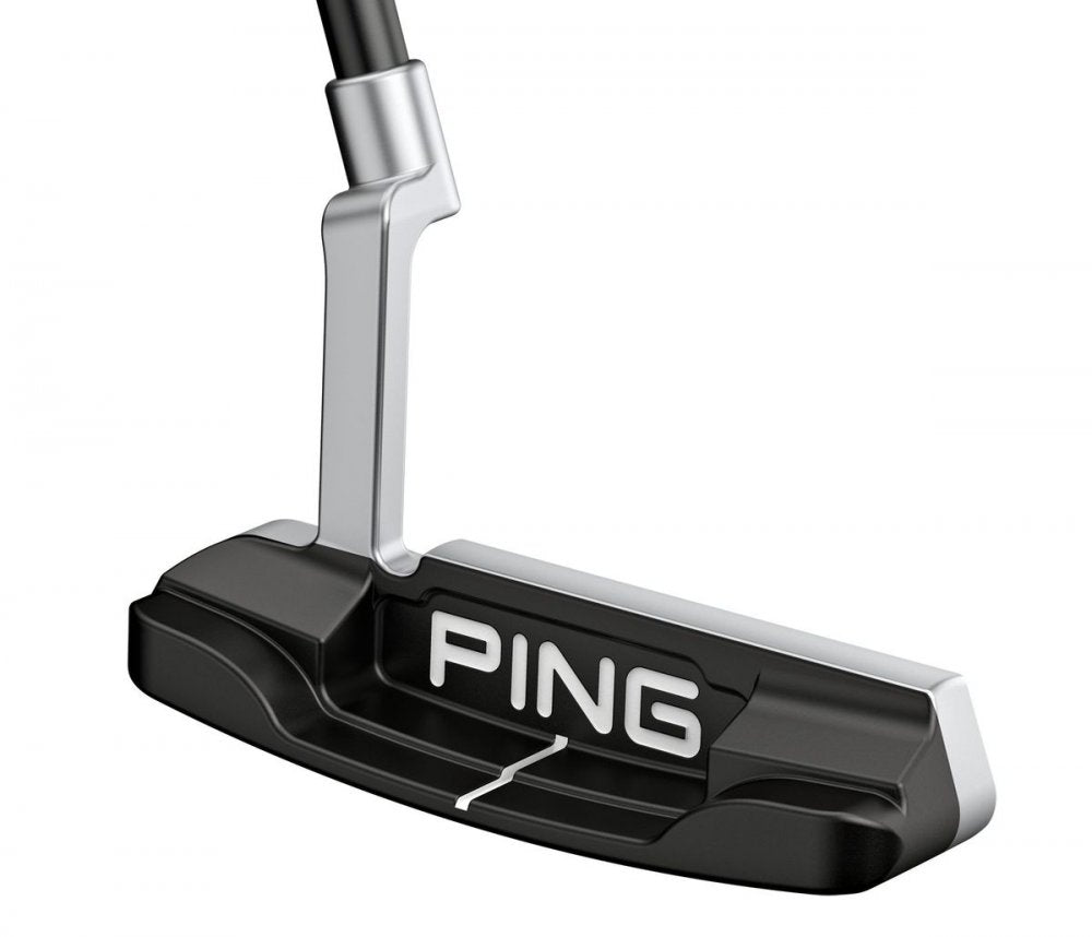 Ping 2023 Anser