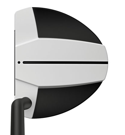 Ping Scottsdale TEC Hayden, golf putter